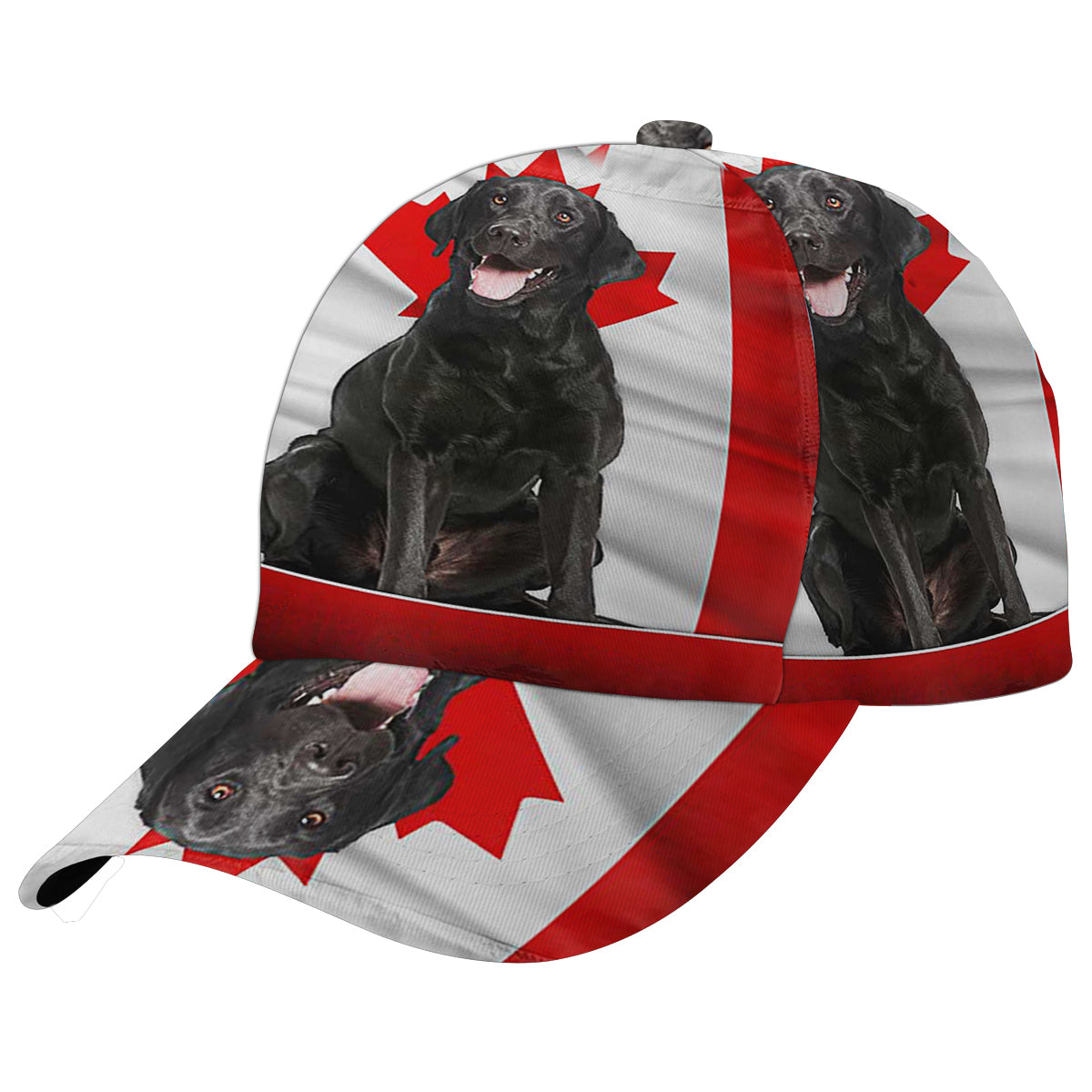 Black Labrador Retriever Dog Canadian Baseball Cap Hat