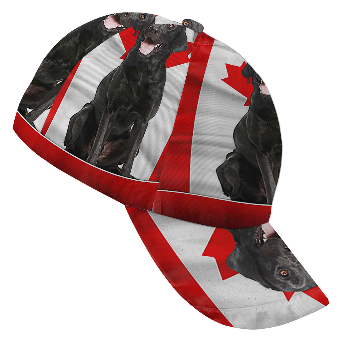Black Labrador Retriever Dog Canadian Baseball Cap Hat